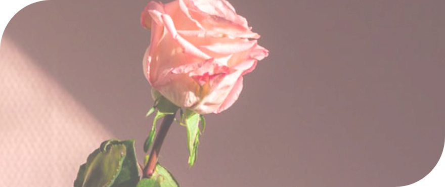 ABOUTページの背景画像