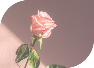 ABOUTページの背景画像